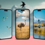 1697696002 Bird wallpapers for iPhone Free 4k download| صور كفرات فيس بوك 2025 جديدة خلفيات معبرة بجودة 4k اجمل غلاف للفيس